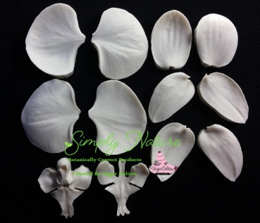Moth Orchid Petals and Throat Veiner Set By Simply Nature Botanically Correct Products®